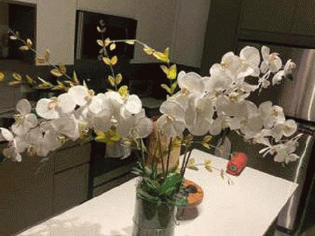 محور ارکیده مصنوعی