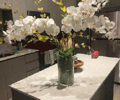 محور ارکیده مصنوعی