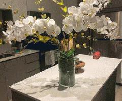 محور ارکیده مصنوعی