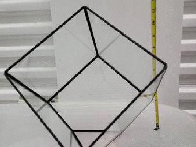Terrariums مربع بزرگ