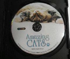 شگفت انگیز گربه سگ 2 دی وی دی