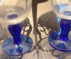 کبالت آبی کوتاه ریشه شراب / عینک آب