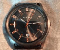  ساعت فولادی اسکاگن دانمارک