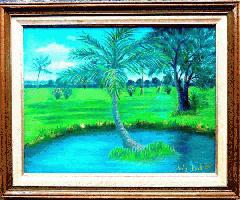 فلوریدا HIGHWAYMEN سبک-نخل در استخر سبز-زیبا!