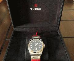 خانواده سلطنتی تودور سیاه خلیج 41