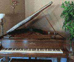 پیانو بزرگ اشتاین وی-1918 مدل M