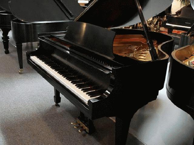 Steinway M Grand Piano-حمل و نقل رایگان