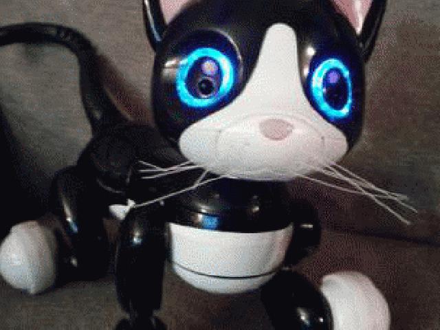  گربه ربات Zoomer زن سبک و جلف چرخش استاد تعاملی اسباب بازی رباتیک
