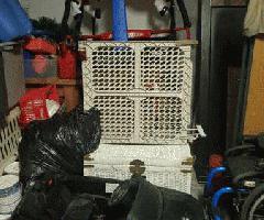 رنج رور قدرت چرخ