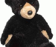 نام تجاری جدید خرس سیاه اسباب بازی مخمل خواب دار