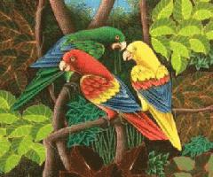 اصلی گرمسیری نقاشی رنگ و روغن پرنده
